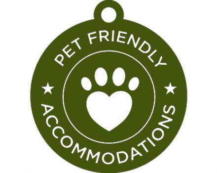 Pet Friendly Accomodation