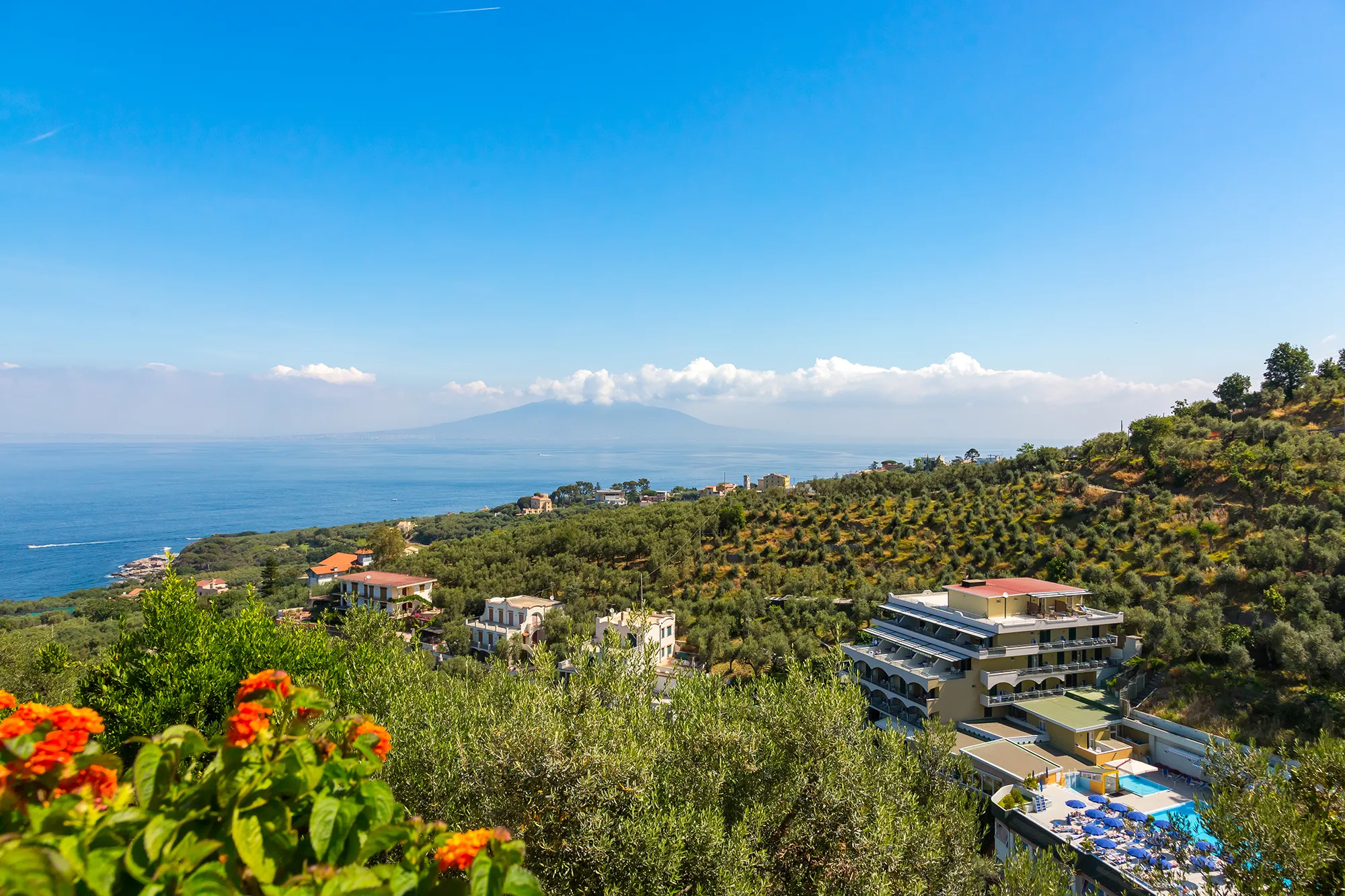 Nell'immagine il paesaggio e la vegetazione che si vedono dall'hotel